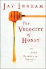 The Velocity of Honey: And More Science of Everyday Life