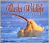 Alaska Wildlife Impressions