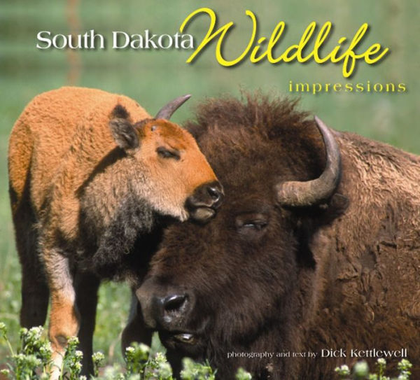 South Dakota Wildlife Impressions