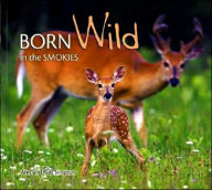 Title: Born Wild in the Smokies, Author: Ann Simpson