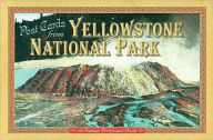 Title: Yellowstone Post Card Book, Author: Haynes