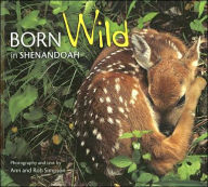 Title: Born Wild in Shenandoah, Author: Ann Simpson