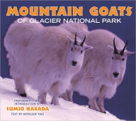 Title: Mountain Goats of Glacier National Park, Author: Sumio Harada