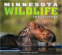 Minnesota Wildlife Impressions