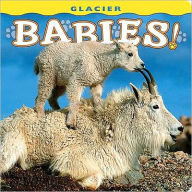 Title: Glacier Babies!, Author: Wendy Shattil