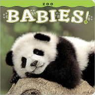 Title: Zoo Babies, Author: Lisa Husar