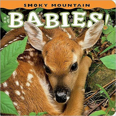 Smoky Mountain Babies