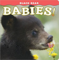 Title: Black Bear Babies, Author: Donald M. Jones