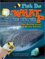 Fish Do WHAT in the Water?: The Secret Lives of Marine Animals