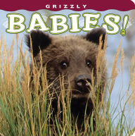 Title: Grizzly Babies!, Author: Henry H Holdsworth