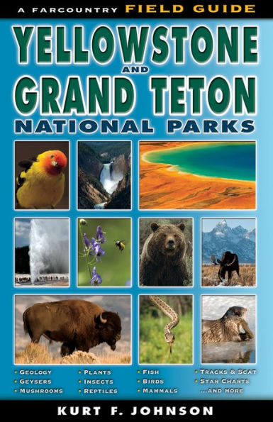 Field Guide to Yellowstone and Grand Teton National Parks