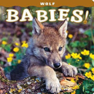 Title: Wolf Babies!, Author: Lisa Husar