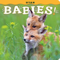 Title: Utah Babies!, Author: Steph Lehmann