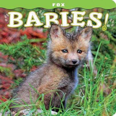 fox toys for babies