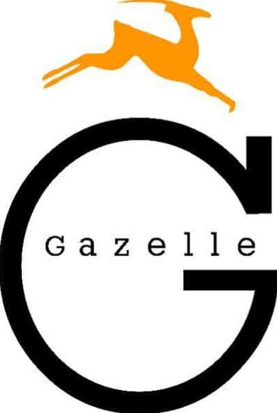 Government at the Dawn of the 21st Century