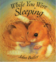 Title: While You Were Sleeping, Author: John Butler