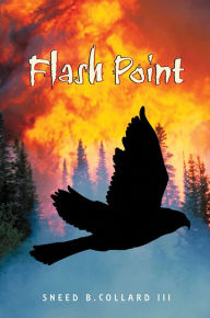 Title: Flash Point, Author: Sneed B. Collard III