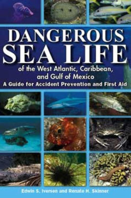 Dangerous Sea Life Of The West Atlantic Caribbean And