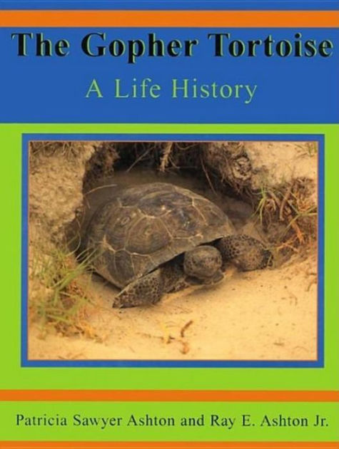 The Gopher Tortoise: A Life Story by Ray E Ashton | NOOK Book (eBook ...