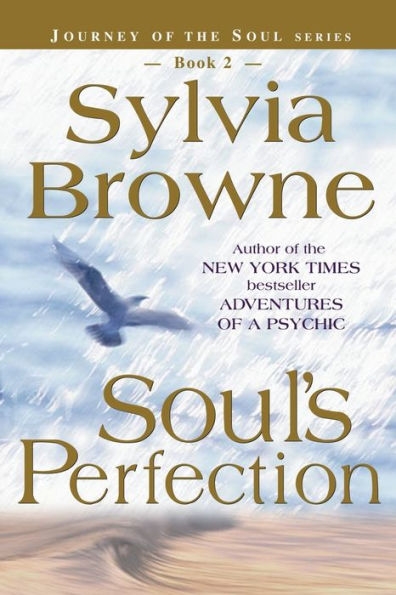 Soul's Perfection (Journey of the Soul Series #2)