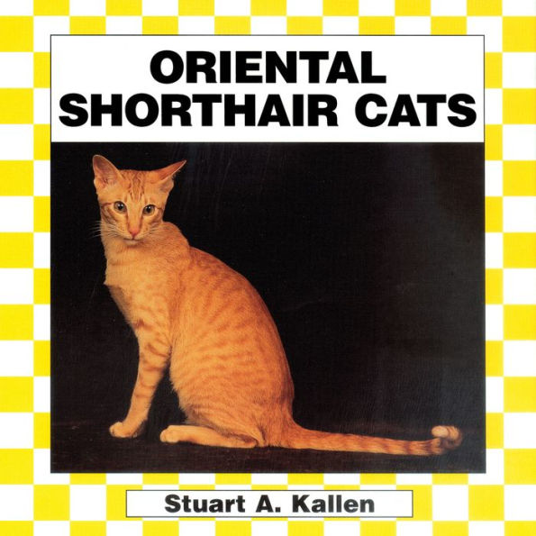 Oriental Shorthair Cats