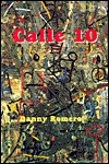 Title: CALLE 10, Author: Danny Romero