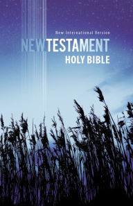 Title: NIV New Testament, Author: Zondervan