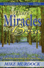 Where Miracles Are Born (Seeds Of Wisdom on The Secret Place, Volume 13)