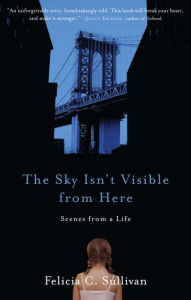 Title: The Sky Isn't Visible from Here: Scenes from a Life, Author: Felicia C. Sullivan