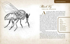 Alternative view 3 of Wicked Bugs: The Louse That Conquered Napoleon's Army & Other Diabolical Insects