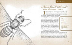 Alternative view 5 of Wicked Bugs: The Louse That Conquered Napoleon's Army & Other Diabolical Insects