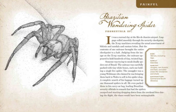 Wicked Bugs: The Louse That Conquered Napoleon's Army & Other Diabolical Insects