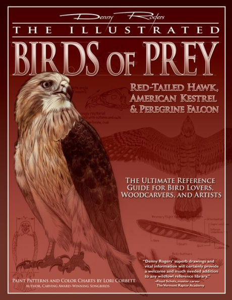 Illustrated Birds of Prey: Red-Tailed Hawk, American Kestral, & Peregrine Falcon: The Ultimate Reference Guide for Bird Lovers, Woodcarvers, and Artists