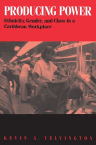 Title: Producing Power: Ethnicity, Gender, and Class in a Caribbean Workplace / Edition 1, Author: Kevin Yelvington