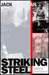 Title: Striking Steel: Solidarity Remembered, Author: Jack Metzgar