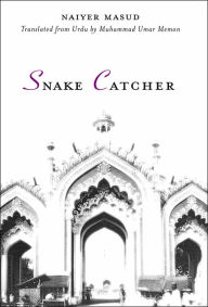 Title: Snake Catcher, Author: Naiyer Masud
