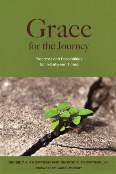 Grace for the Journey: Practices and Possibilities In-between Times