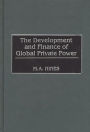 The Development and Finance of Global Private Power / Edition 1