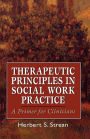 Therapeutic Principles in Social Work Practice: A Primer for Clinicians / Edition 1