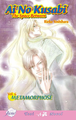 Ai No Kusabi The Space Between Volume 6 Metamorphose Yaoi Novel V 6