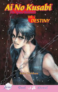 Title: Ai No Kusabi the Space Between, Volume 2: Destiny (Yaoi Novel), Author: Reiko Yoshihara