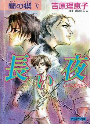 Ai No Kusabi Volume 5 Yaoi Novel By Katsumi Michihara