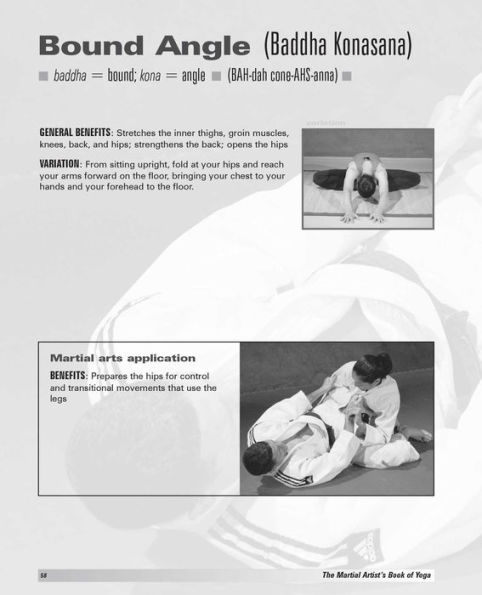 The Martial Artist's Book of Yoga: Improve Flexibility, Balance and Strength for Higher Kicks, Faster Strikes, Smoother Throws, Safer Falls and Stronger Stances