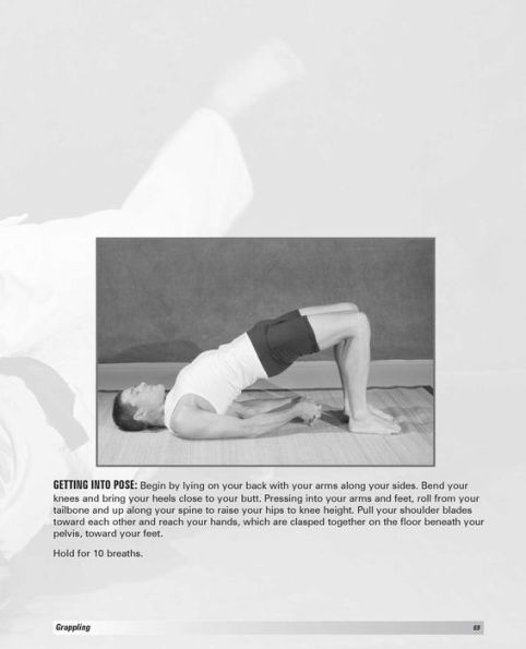 The Martial Artist's Book of Yoga: Improve Flexibility, Balance and Strength for Higher Kicks, Faster Strikes, Smoother Throws, Safer Falls Stronger Stances