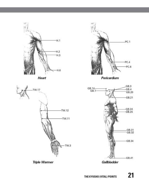 The Secret Art of Pressure Point Fighting: Techniques to Disable Anyone in Seconds Using Minimal Force