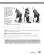 Alternative view 9 of Krav Maga for Beginners: A Step-by-Step Guide to the World's Easiest-to-Learn, Most-Effective Fitness and Fighting Program