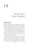 Alternative view 5 of The Green Smoothies Diet: The Natural Program for Extraordinary Health