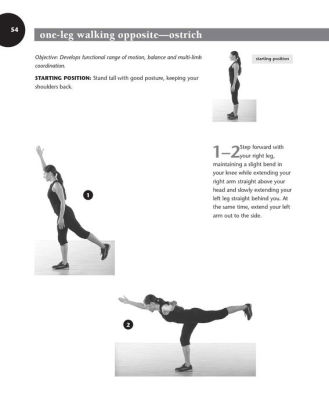 Dynamic Stretching: The Revolutionary New Warm-up Method to Improve ...