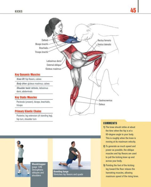 the Anatomy of Martial Arts: An Illustrated Guide to Muscles Used for Each Strike, Kick, and Throw