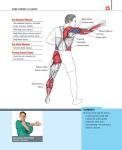 Alternative view 5 of The Anatomy of Martial Arts: An Illustrated Guide to the Muscles Used for Each Strike, Kick, and Throw